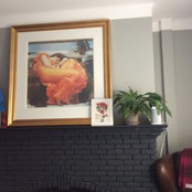 Anna Bradshaw's photo