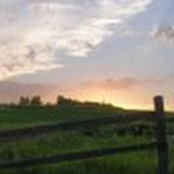 Sarah Bowles's photo