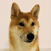 Seave Leung's photo
