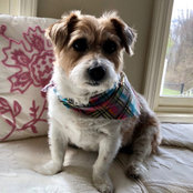 Pam Debitetto's photo