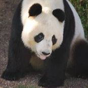 Hilary Gillette's photo