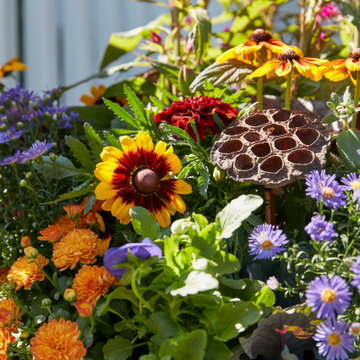 Fall Containers