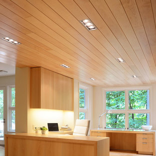 Design ideas for a modern home office and library in Milwaukee.