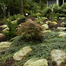 Garden Designs