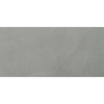 MSI NSAN1224P Sande - 12" x 24" Rectangle Floor Tile - Polished - Gray