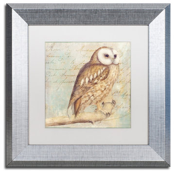 Color Bakery 'White-Faced Owl' Art, Silver Frame, White Matte, 11"x11"