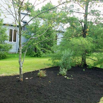 Dang Spring Clean-up/Reclamation