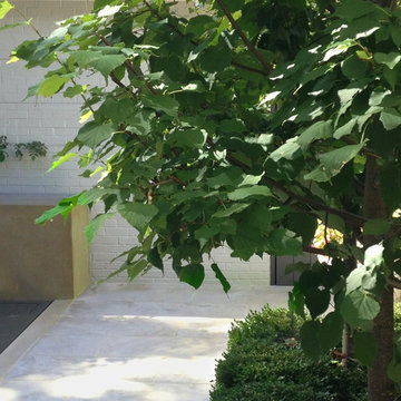COURTYARD GARDEN