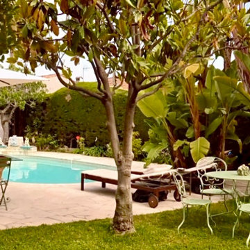 Un jardin exotique avec différentes pièces...