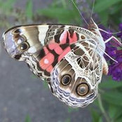 Teresa Bender's photo