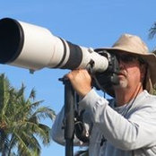 Shane Hirschis billede