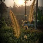 Meena Philip's photo