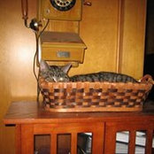 Diana Ball's photo