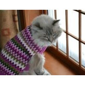 Mary Beth Amirault's photo