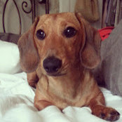 Alexandra Boland's photo