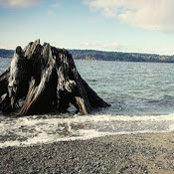 Sara Longley's photo