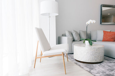 Living room - living room idea in Miami