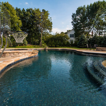 Freeform Pool in Libertyville, IL