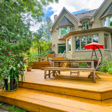 Bedford Park - Elevated Horizons