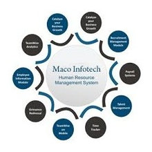 HRMS and Web Payroll Management System
