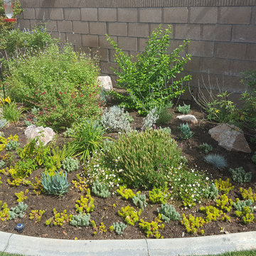 Backyards