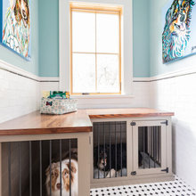 Puppy room