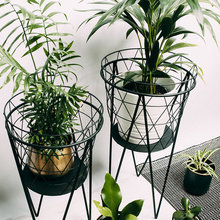 Plants | Pots | Accs