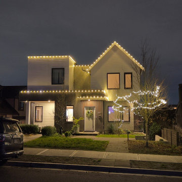 Soft & Elegant Warm White Christmas Lighting