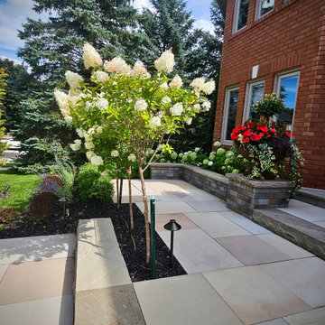 Front Walkway Design with Ornamental Tree and Integrated Retaining Wall