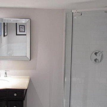 Downtown Transitional/Contemporary Basement Renovation