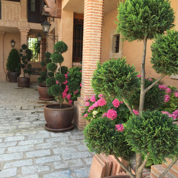 Proyecto paisajismo Finca en Toledo