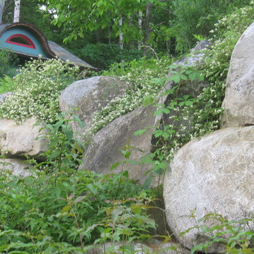 Boulder wall with stephanandra