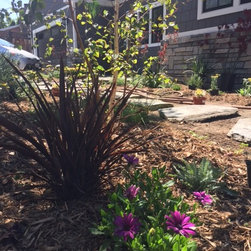 La Crescenta Classic - Products