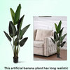 Serene Spaces Living 57 inches Banana Plant