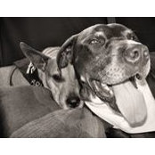 Michele Pachanski's photo