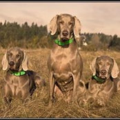 Stephanie Horner's photo