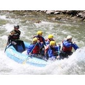 Donna Mitchell's photo