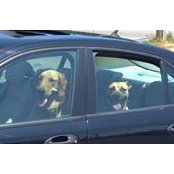 Linda Tutzauer Bond's photo