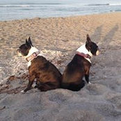 Helen Anne Quigley's photo