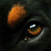 Chris Lenard's photo