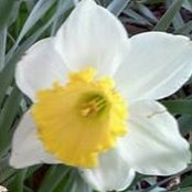 Jean Clausen's photo