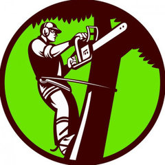Tucson Landscape Professionals