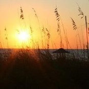 Norma Costanzo's photo