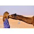 Sara Baldwin Design's profile photo