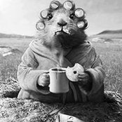 Monica Bulat's photo