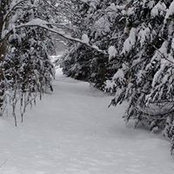 Tom Bergan's photo