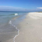 April Bagwell's photo