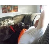 Debbie Gogel's photo