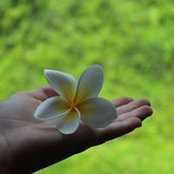 Heidi Marney's photo
