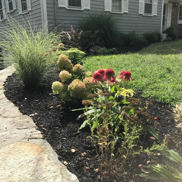 Front Walkway Landscaping